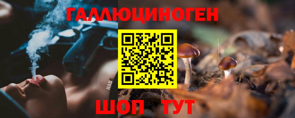 Псилоцибиновые грибы Cubensis Коломна